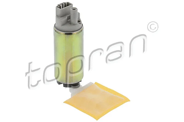 Fuel Pump (820 794)
