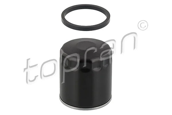Oil Filter (116 293)