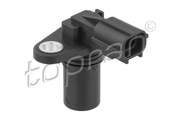 Sensor, camshaft position (302 447)
