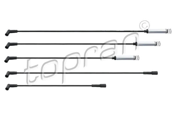Ignition Cable Kit (202 514)