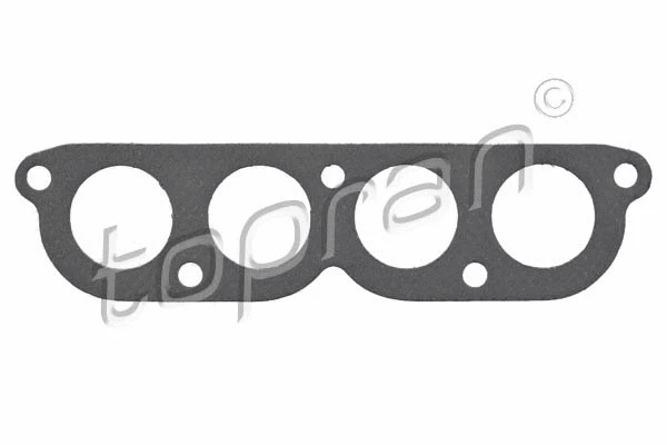 Gasket, intake manifold (100 725)