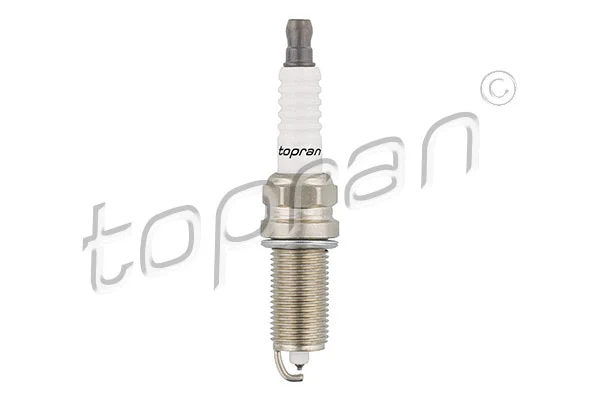 Spark Plug (501 482)