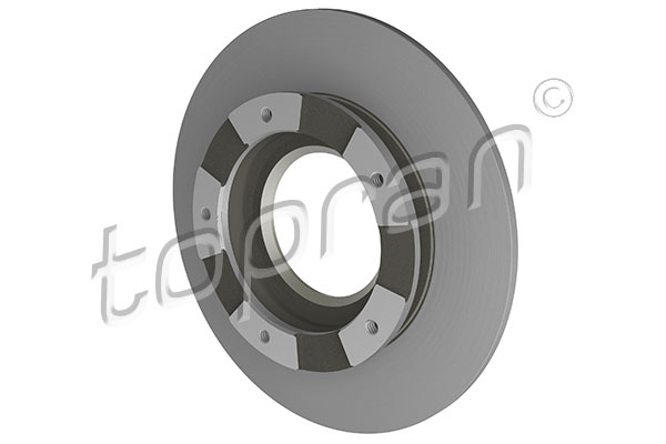 Brake Disc (303 971)