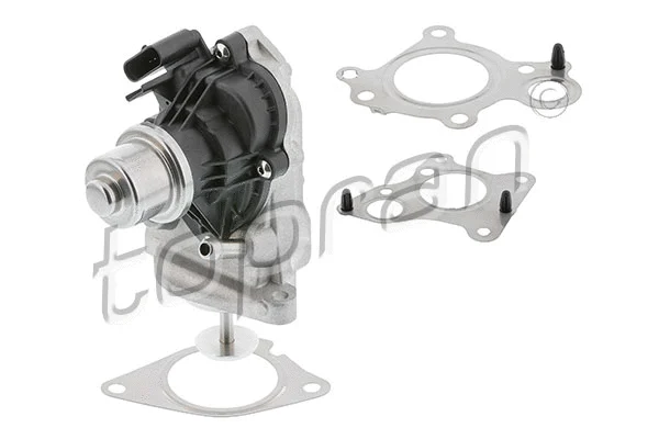 EGR Valve (639 187)