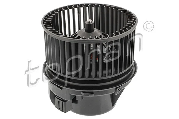 Interior Blower (305 693)