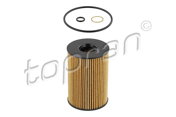 Oil Filter (502 154)