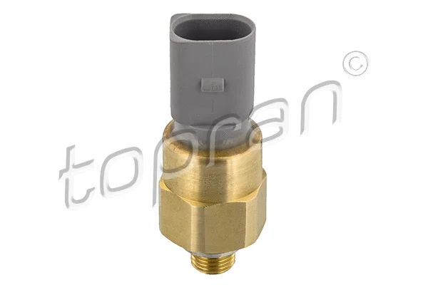 Oil Pressure Switch (109 894)