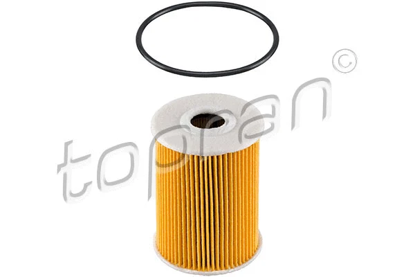 Oil Filter (207 591)