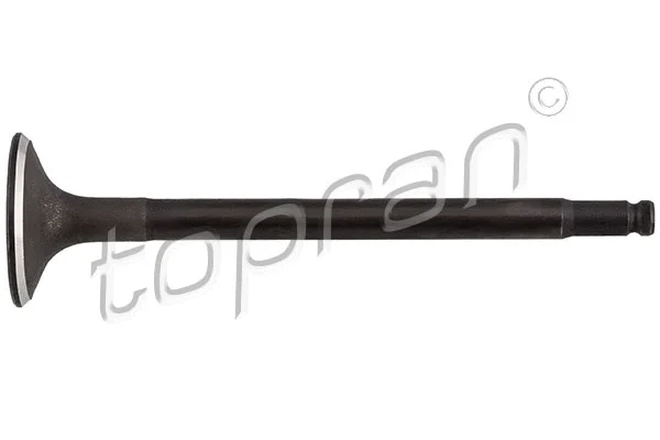 Intake Valve (408 564)