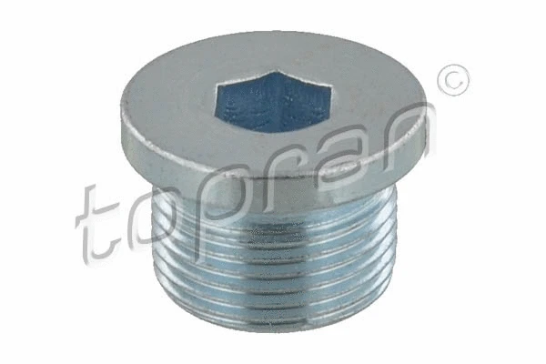 Screw Plug, transmission housing (115 347)