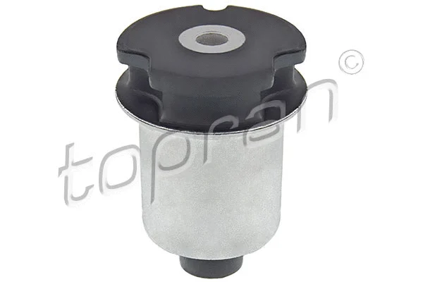 Bushing, axle beam (104 429)