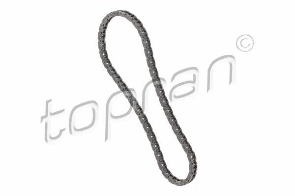 Timing Chain (502 982)