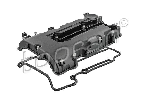 Cylinder Head Cover (209 009)