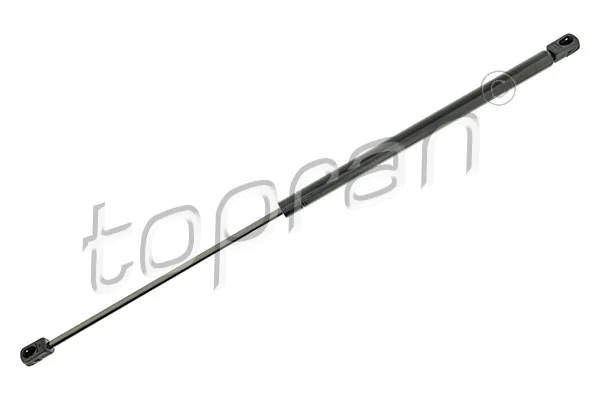 Gas Spring, boot/cargo area (700 689)