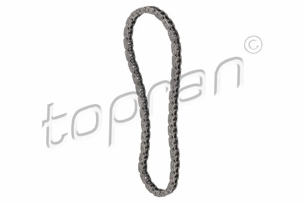 Timing Chain (502 978)