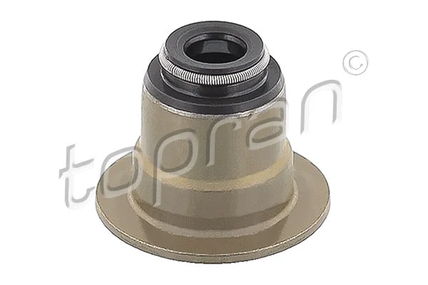 Seal Ring, valve stem (302 180)