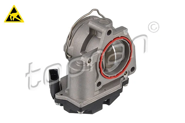 Throttle Body (117 305)