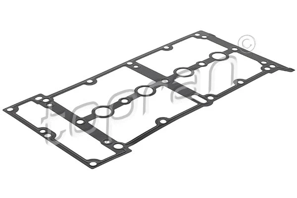 Gasket, cylinder head cover (207 620)