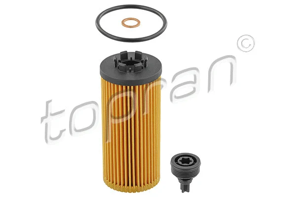 Oil Filter (625 351)
