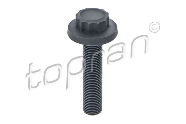 Bolt, propshaft flange (120 591)