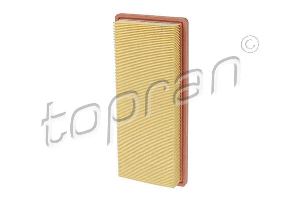 Air Filter (722 566)