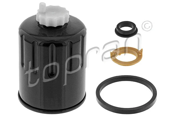 Fuel Filter (701 569)