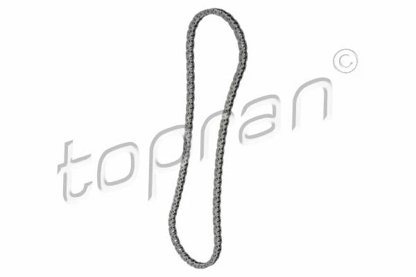 Timing Chain (305 018)