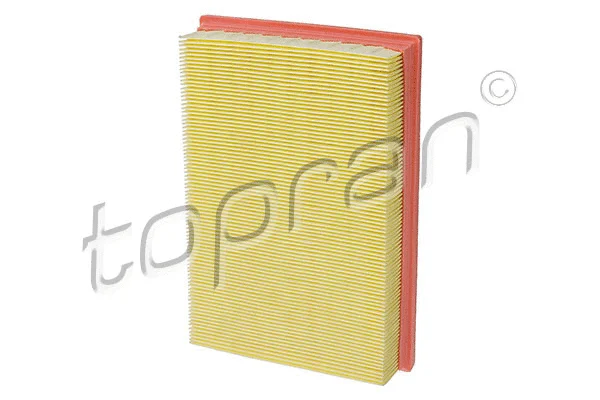 Air Filter (722 304)