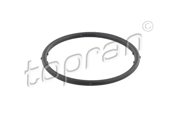 Gasket, coolant flange (100 722)