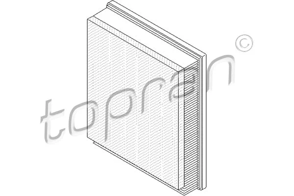 Air Filter (207 542)
