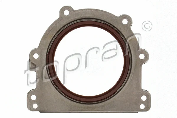 Shaft Seal, crankshaft (407 807)