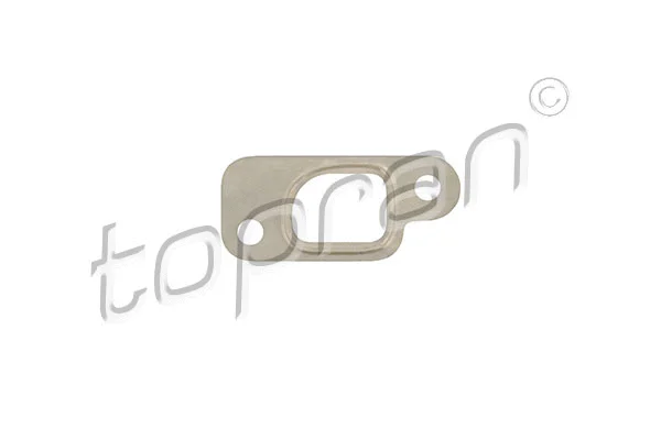 Gasket, exhaust manifold (301 656)