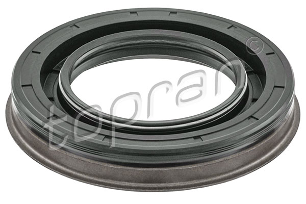 Shaft Seal, differential (408 191)
