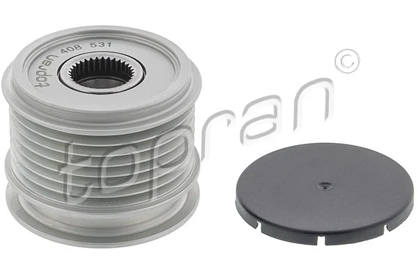 Alternator Freewheel Clutch (408 531)