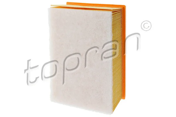 Air Filter (720 963)
