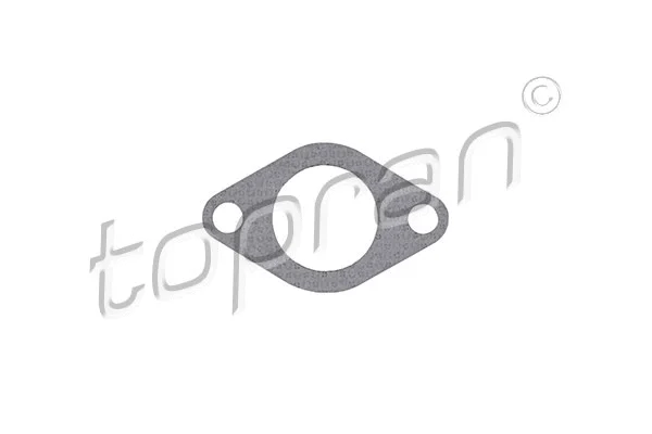 Gasket, EGR valve (110 376)