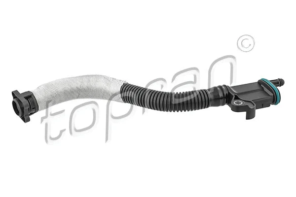 Hose, cylinder head cover ventilation (116 667)