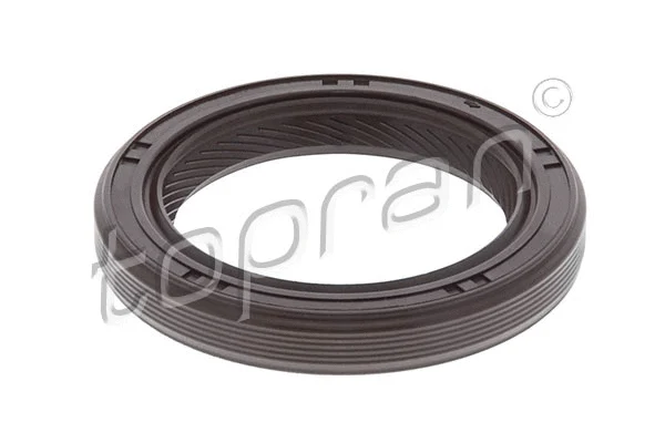 Shaft Seal, camshaft (700 114)