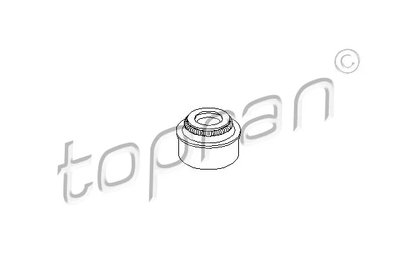 Seal Ring, valve stem (300 354)