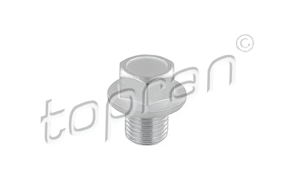 Screw Plug, oil sump (820 217)