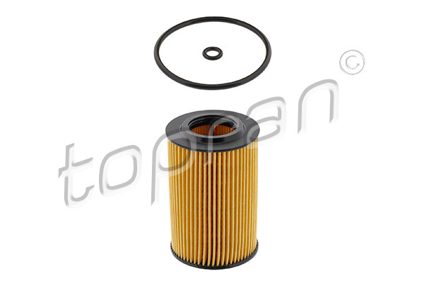 Oil Filter (114 419)