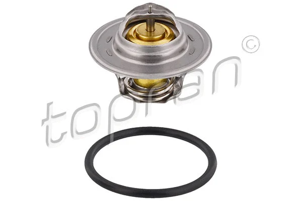 Thermostat, coolant (100 957)