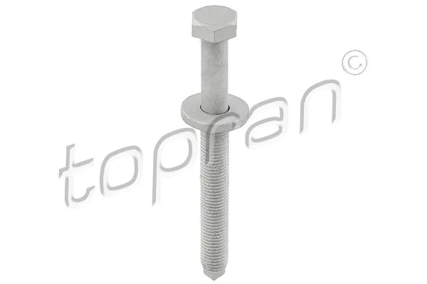Screw (116 952)