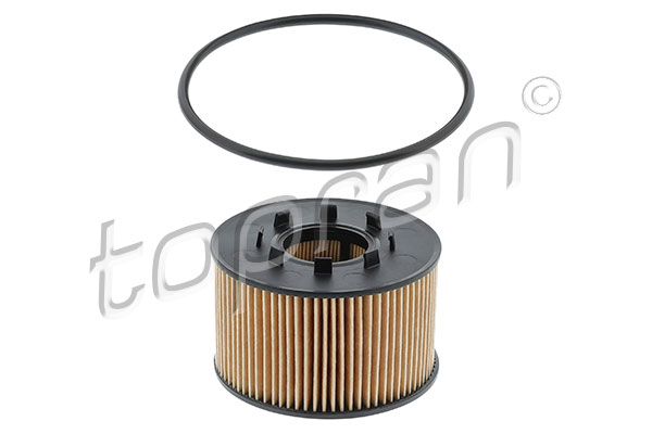 Oil Filter (301 760)