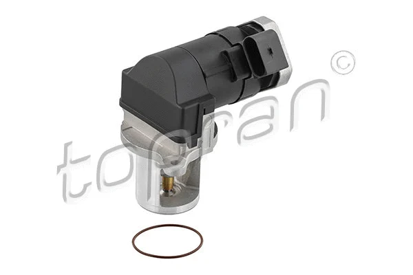 EGR Valve (639 172)