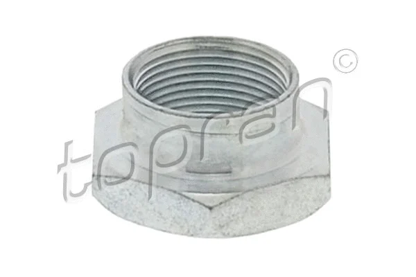 Axle Nut, drive shaft (103 266)