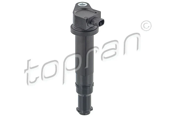 Ignition Coil (820 779)