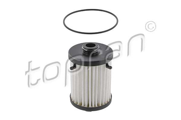 Hydraulic Filter, automatic transmission (625 372)