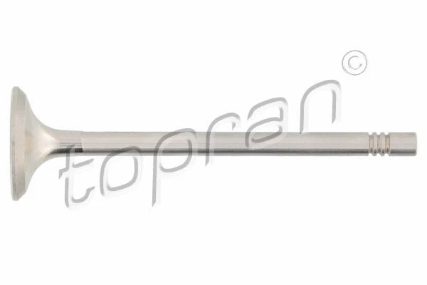 Exhaust Valve (110 211)