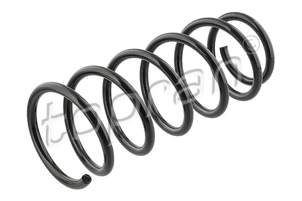 Suspension Spring (207 593)